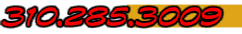 310.285.3009
